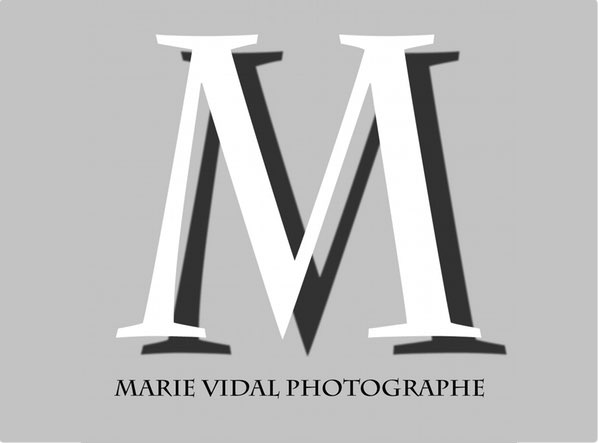 Marie VIDAL - auteure photographe artiste - Presentation